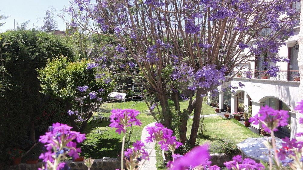 Hotel Boutique Villa Elisa أريكيبا المظهر الخارجي الصورة